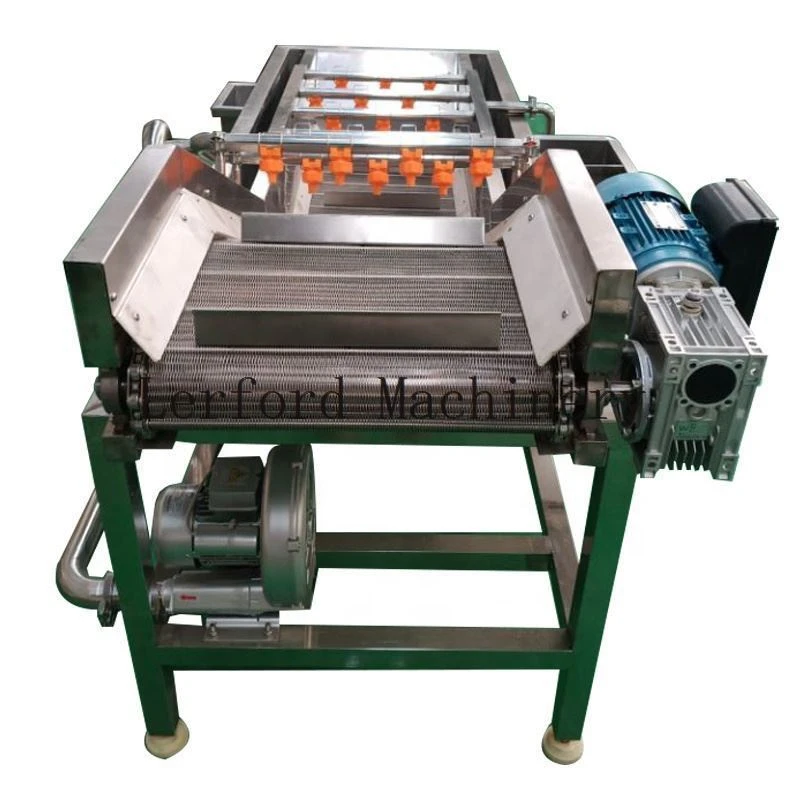 Vegetable and Fruit Washing Machine Vegetable and Fruit Washing Machine