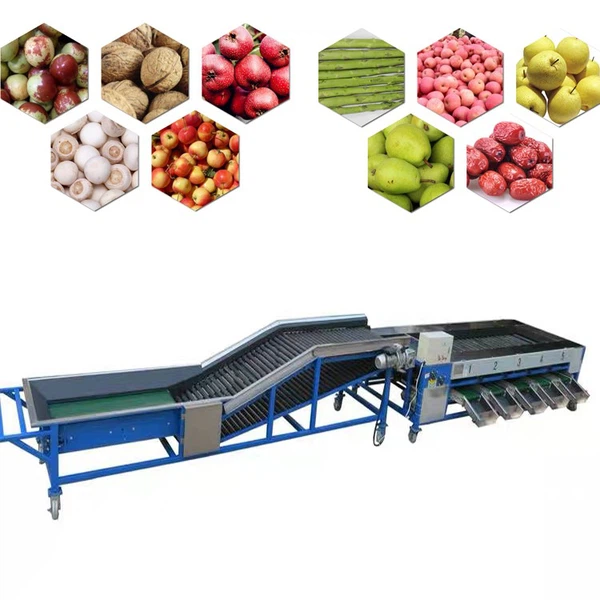 fruit sorting systems fruit sorting systems