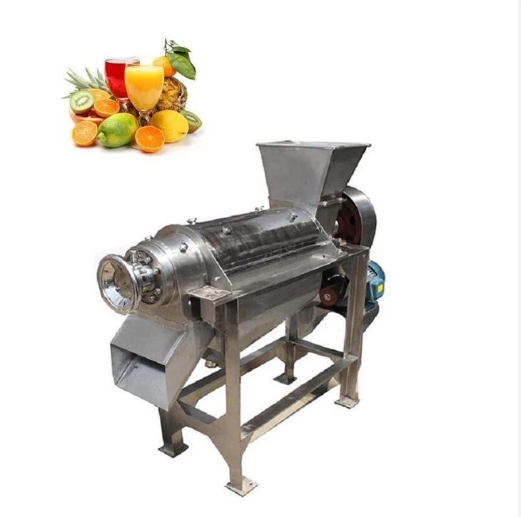 Professional Juicer Machine